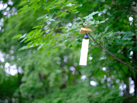 wind bell in summer forest
