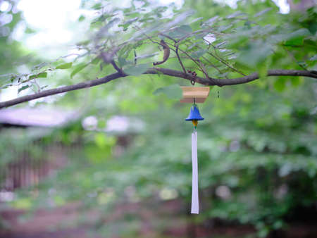 wind bell in summer forest