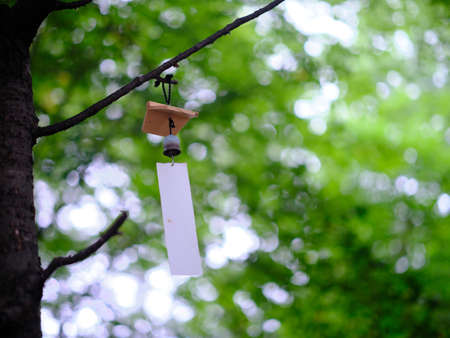 wind bell in summer forest