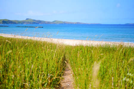 The sea seen through the grassの写真素材