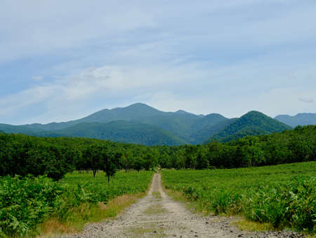 landscape in shiretoko hokkaido japanの写真素材