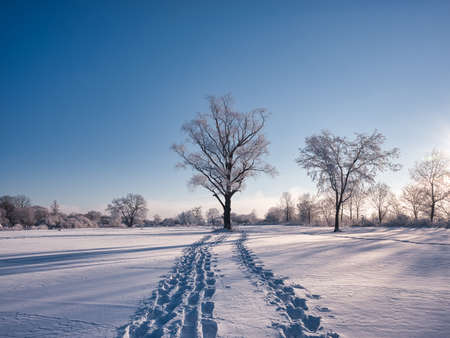 footprint on snow field in hokkaido