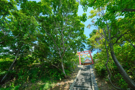japanese shrine and green forestãの写真素材