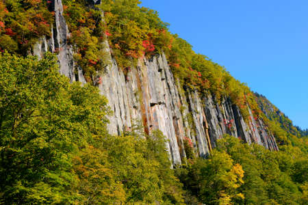Autumn leaves on steep cliffs