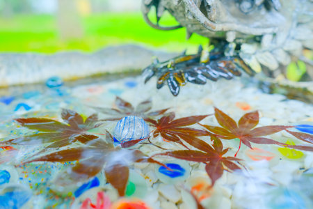 marble and water in japan shrine