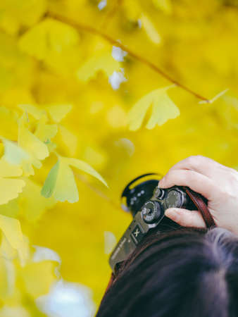 People who shoot autumn leavesの写真素材