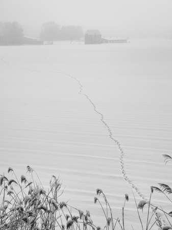 foot stamp on snow fieldの写真素材