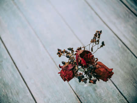 Dried red rose flower on white tableの写真素材