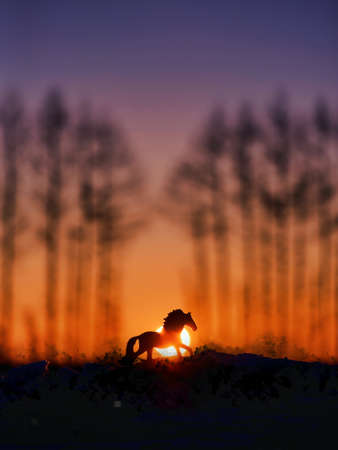 take a picture of a schleich horse figureの写真素材