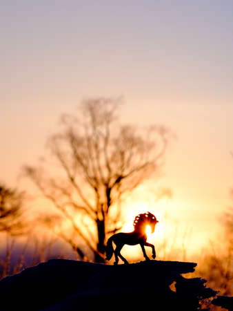 take a picture of a schleich horse figureの写真素材