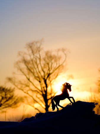 take a picture of a schleich horse figureの写真素材