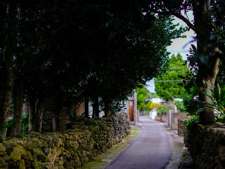 shiraho village on ishigaki islandの写真素材