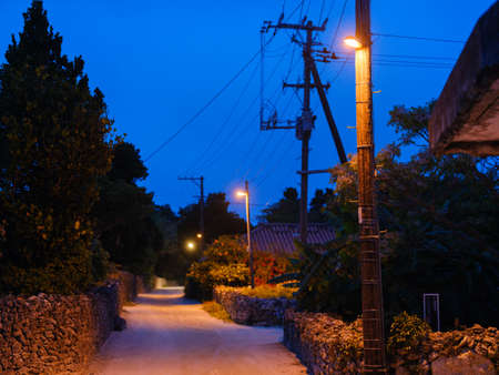 taketomi island town area at nightの写真素材