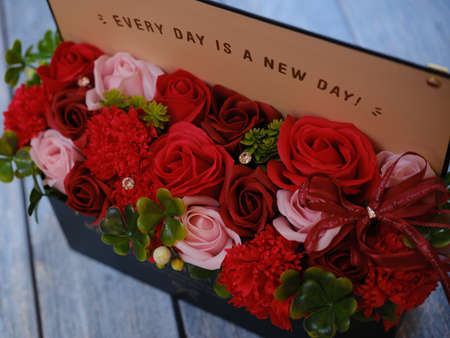 red rose for Mother's Dayの写真素材