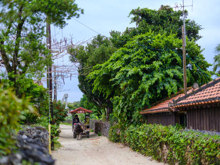 Old townscape of Taketomi Islandの写真素材