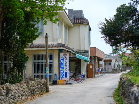 Old townscape of Taketomi Islandの写真素材