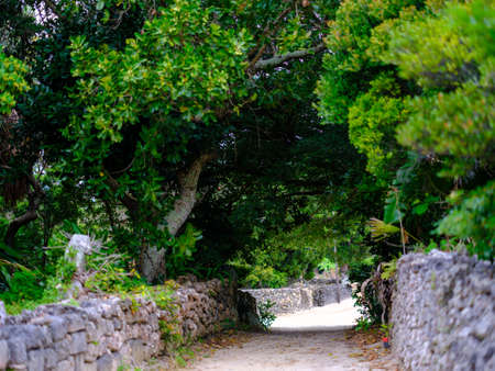 Old townscape of Taketomi Islandの写真素材
