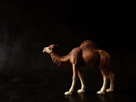 camel figureãの写真素材
