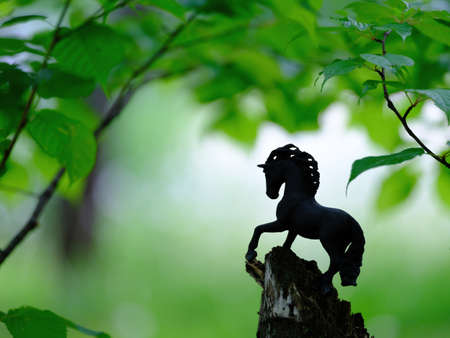 horse figure and green forestの写真素材