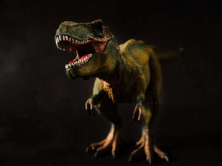 Tyrannosaurus figure and black backgroundの写真素材