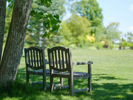 wooden bench in green parkの写真素材