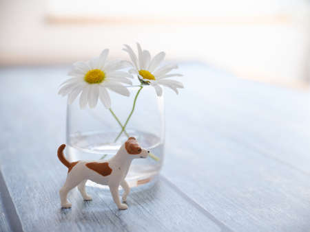 white flower and dog figureの写真素材