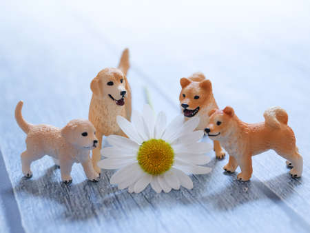 white flower and dog figureの写真素材