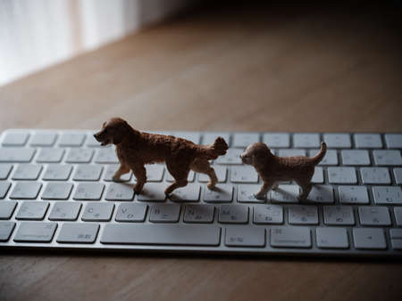 dog figure and keybord on tableの写真素材