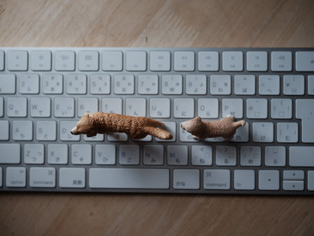 dog figure and keybord on tableの写真素材