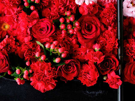 red rose in japanese shrineの写真素材