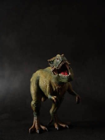 Tyrannosaurus figure and black backgroundの写真素材