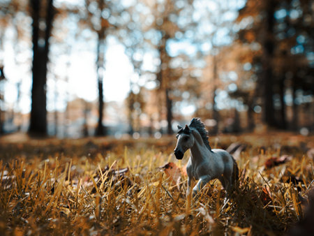 horse fogure in autumn forestの写真素材