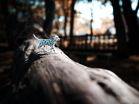 dog figure and autumn forestの写真素材