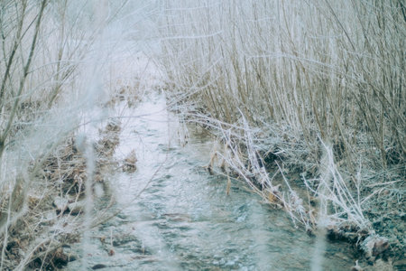 small river in winter hokkaidoの写真素材