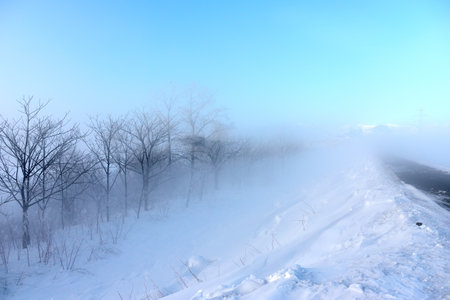 cold fog in early morning winterの写真素材