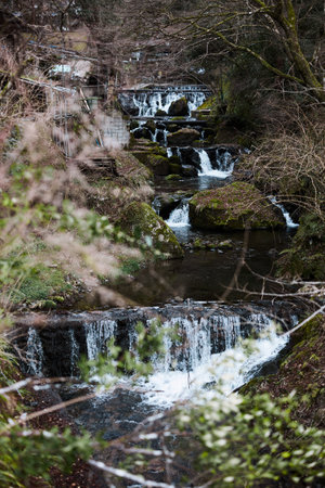kibune river in kyoto japanの写真素材