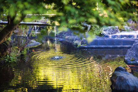 Beautiful pond in Japanese garden