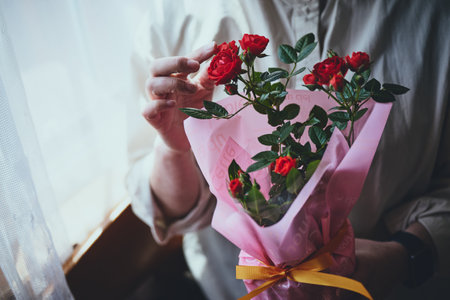 red rose for Mother's Dayの写真素材
