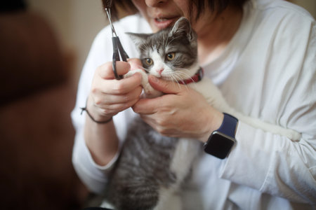 A cat whose nails are clipped by its ownerの写真素材
