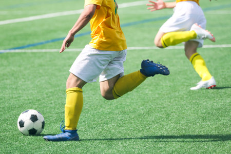 football game in hokkaido japanの写真素材