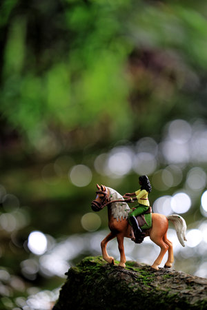 horse figure and green forestの写真素材