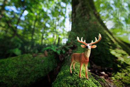 deer figure in summer forestの写真素材