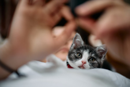 Owner and cat operating a cell phone