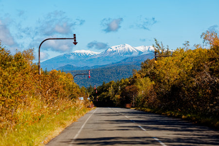 Snowy mountains and autumn roadの写真素材