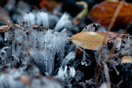 frost pillar on winter soilの写真素材