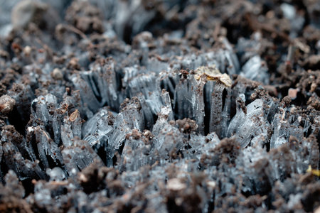 frost pillar on winter soilの写真素材