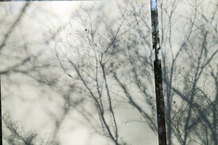 Dead tree reflected in the curtain