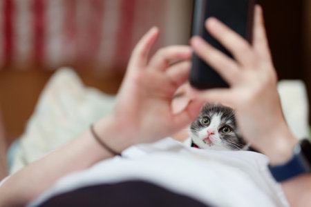 kitten near owner in houseの写真素材