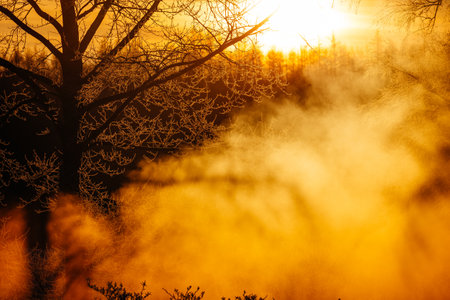 cold fog in early morning winterの写真素材
