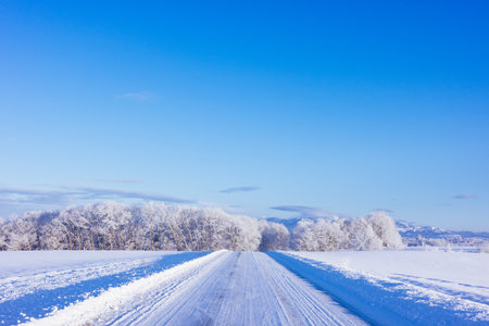winter slippery road in morningの写真素材